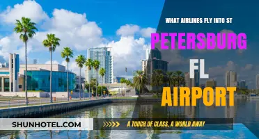 Airlines Serving St. Petersburg, FL: Your Complete Flight Guide