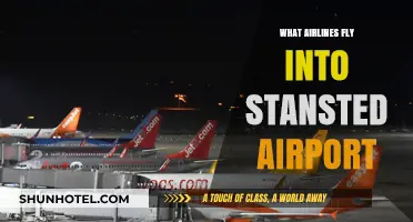 Airlines Serving Stansted: Your Comprehensive Guide to Flights and Carriers