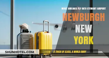 Airlines Serving Stewart Airport Newburgh, NY: Your Complete Guide