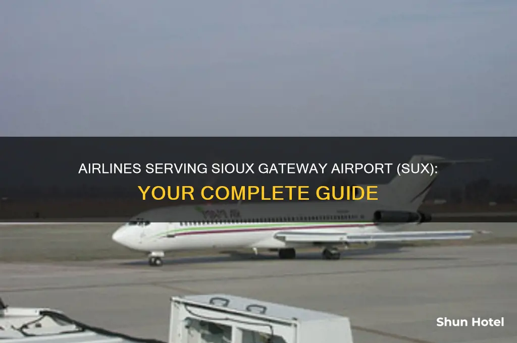 what airlines fly into sux airport