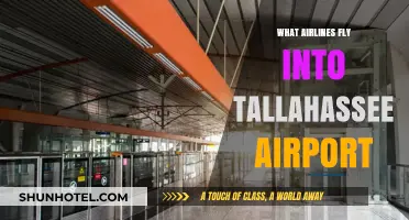 Airlines Serving Tallahassee Airport: Your Complete Guide to Flights