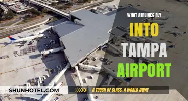 Airlines Serving Tampa Airport: Your Comprehensive Flight Guide