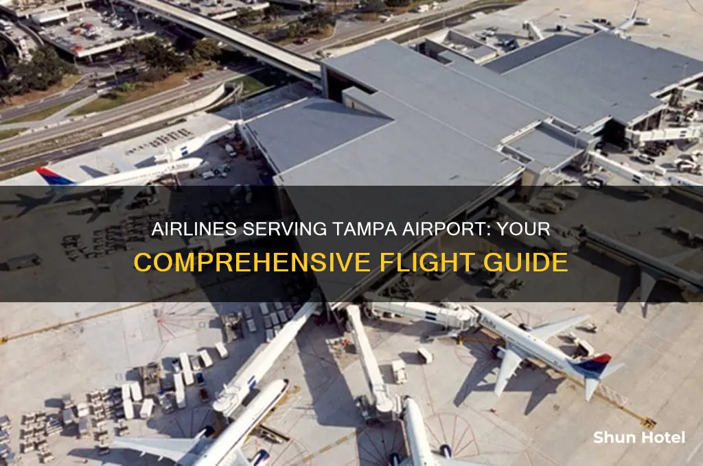 what airlines fly into tampa airport