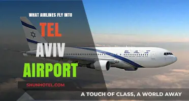 Airlines Serving Tel Aviv: Comprehensive Guide to Flights and Carriers