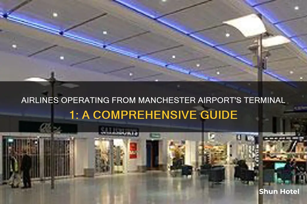 what airlines fly into terminal 1 at manchester airport uk