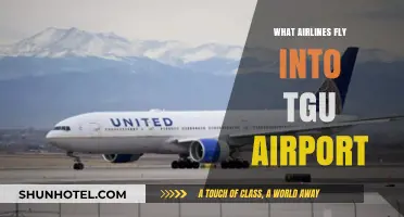 Airlines Serving Tegucigalpa: Complete Guide to Flights into Toncontín Airport