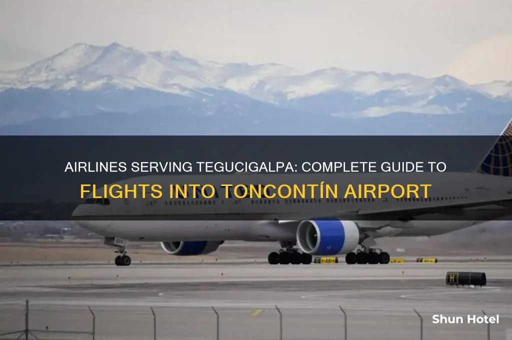 what airlines fly into tgu airport