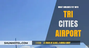 Airlines Serving Tri Cities Airport: Your Comprehensive Flight Guide