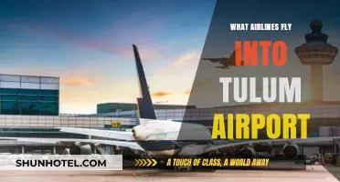 Airlines Serving Tulum Airport: Your Ultimate Travel Guide to Mexico