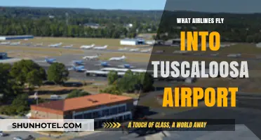 Airlines Serving Tuscaloosa Airport: Your Comprehensive Flight Guide
