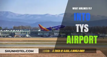 Airlines Serving TYS Airport: Your Comprehensive Flight Guide