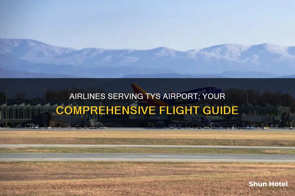 what airlines fly into tys airport
