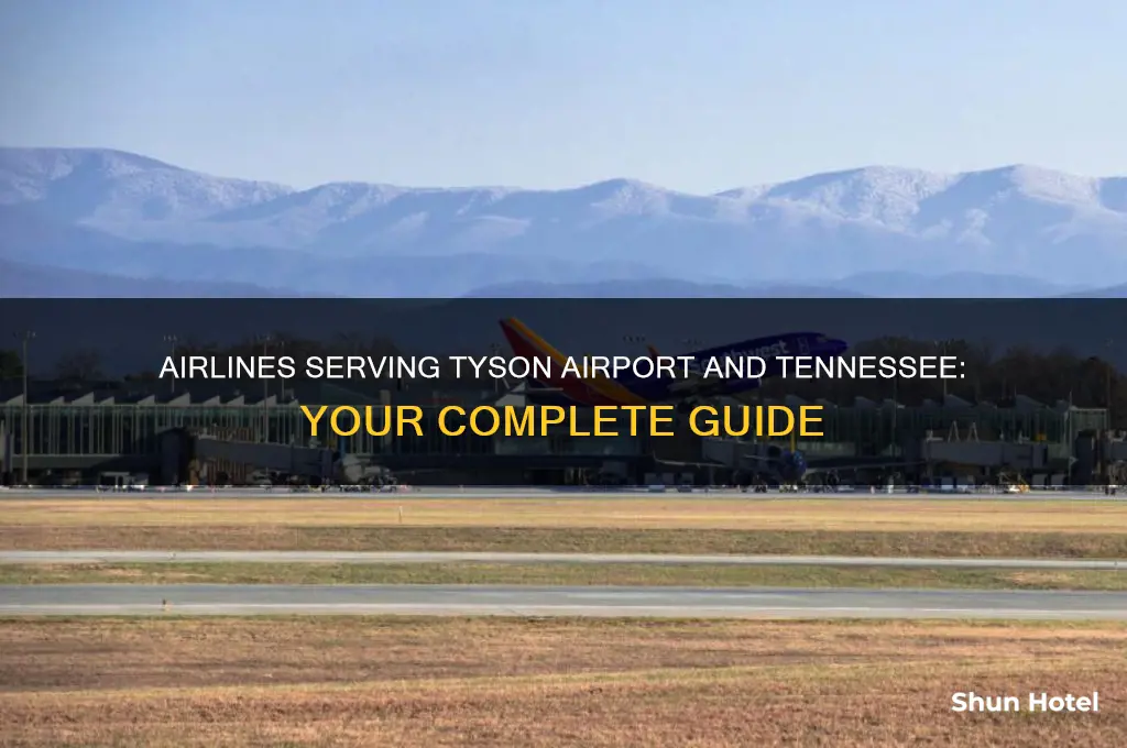 what airlines fly into tyson airport and tn