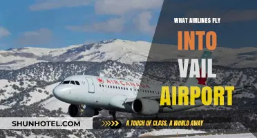 Airlines Serving Vail Airport: Your Complete Guide to Flights