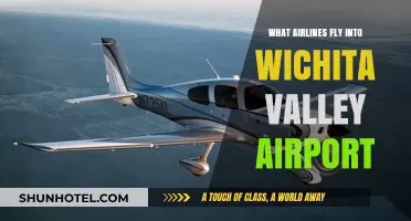Airlines Serving Wichita Valley Airport: Your Complete Flight Guide