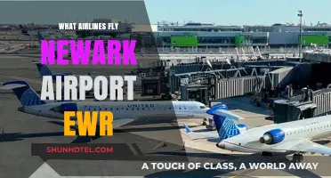 Airlines Serving Newark Airport EWR: Your Comprehensive Carrier Guide