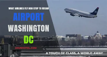 Nonstop Flights to Reagan Airport: Airlines Serving Washington DC Directly