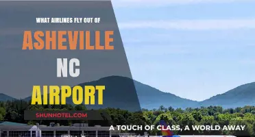 Airlines Serving Asheville NC Airport: Your Complete Travel Guide