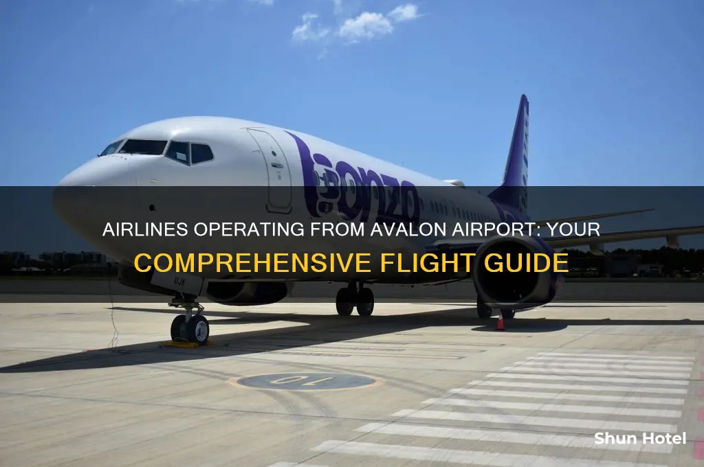 what airlines fly out of avalon airport