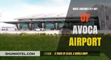 Airlines Operating from Avoca Airport: Your Comprehensive Flight Guide