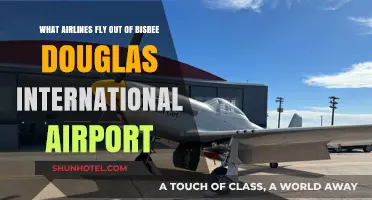 Airlines Operating from Bisbee Douglas International Airport: Your Travel Guide