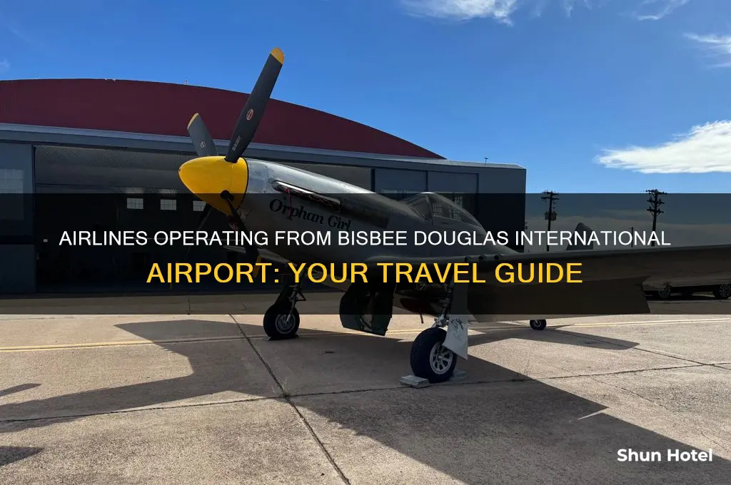 what airlines fly out of bisbee douglas international airport