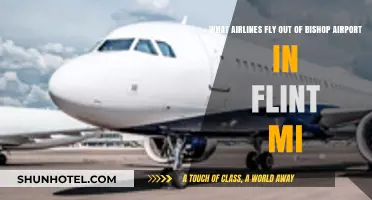 Airlines Departing from Bishop Airport in Flint, MI: Your Guide