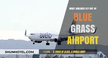 Airlines Operating from Blue Grass Airport: Your Complete Guide