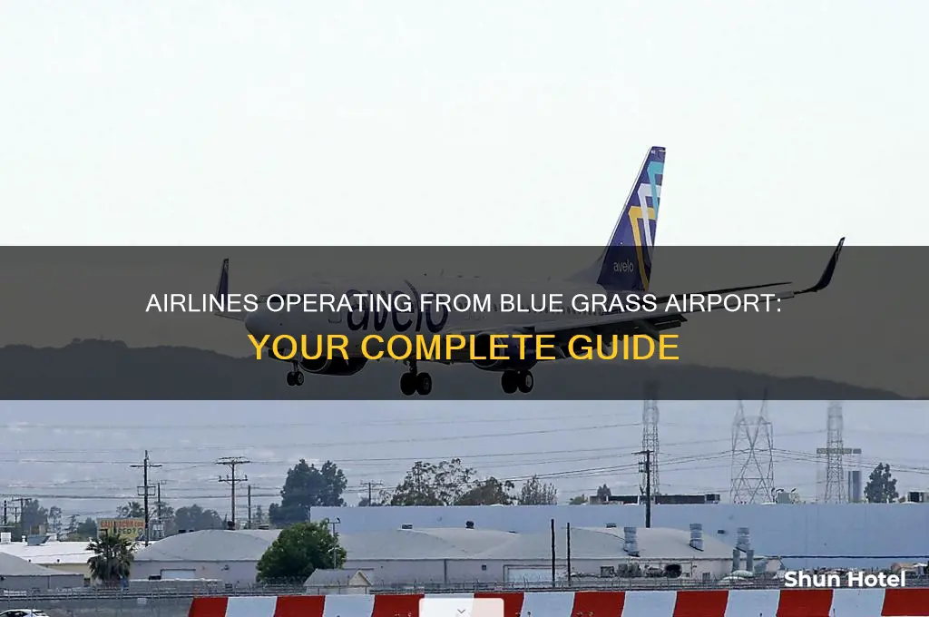 what airlines fly out of blue grass airport