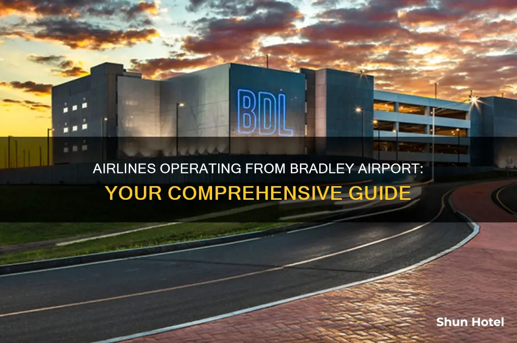 what airlines fly out of bradley airport