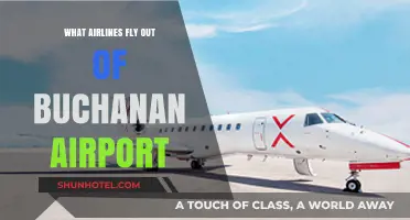 Airlines Operating from Buchanan Airport: Your Comprehensive Flight Guide