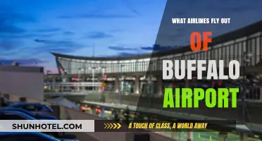 Buffalo Airport Airlines: Your Guide to Carriers and Destinations