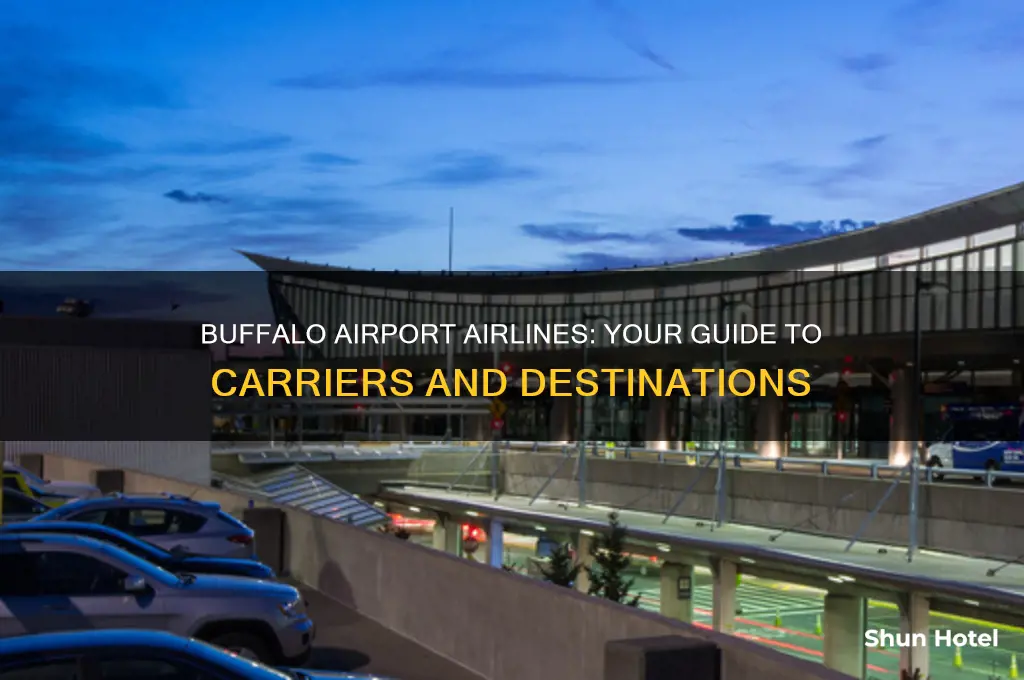 what airlines fly out of buffalo airport