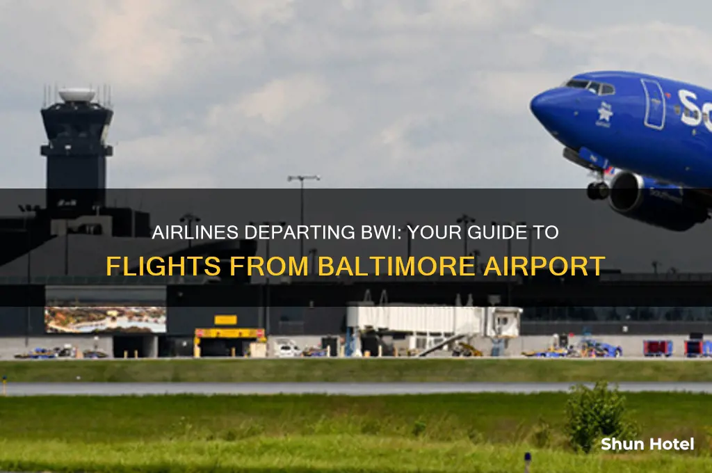what airlines fly out of bwi airport