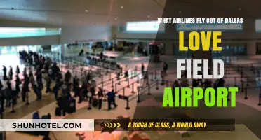 Airlines Operating from Dallas Love Field: Your Comprehensive Guide