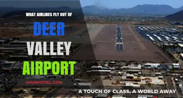 Airlines Departing from Deer Valley Airport: Your Comprehensive Guide