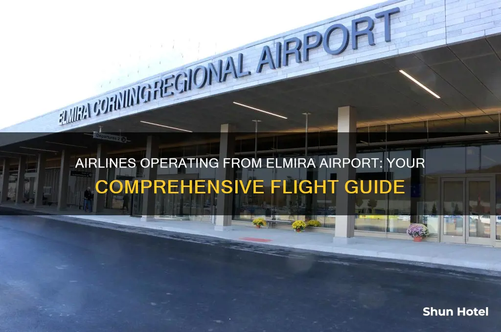 what airlines fly out of elmira airport