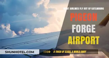 Airlines Serving Gatlinburg Pigeon Forge Airport: Your Travel Options