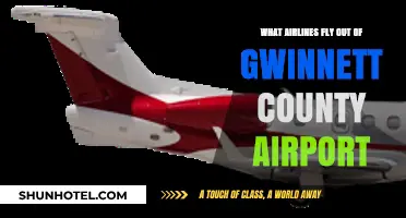 Airlines Operating from Gwinnett County Airport: Your Complete Guide