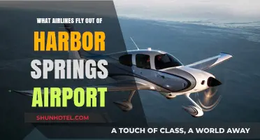 Airlines Operating from Harbor Springs Airport: Your Complete Guide