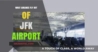 Airlines Departing JFK: Your Comprehensive Guide to JFK Airport Carriers
