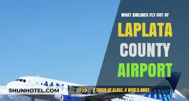 Airlines Serving La Plata County Airport: Your Comprehensive Guide