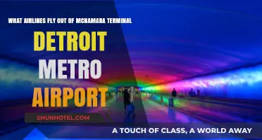 Airlines Departing McNamara Terminal at Detroit Metro Airport: A Guide