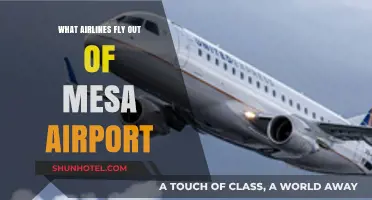 Airlines Operating from Mesa Airport: Your Comprehensive Flight Guide
