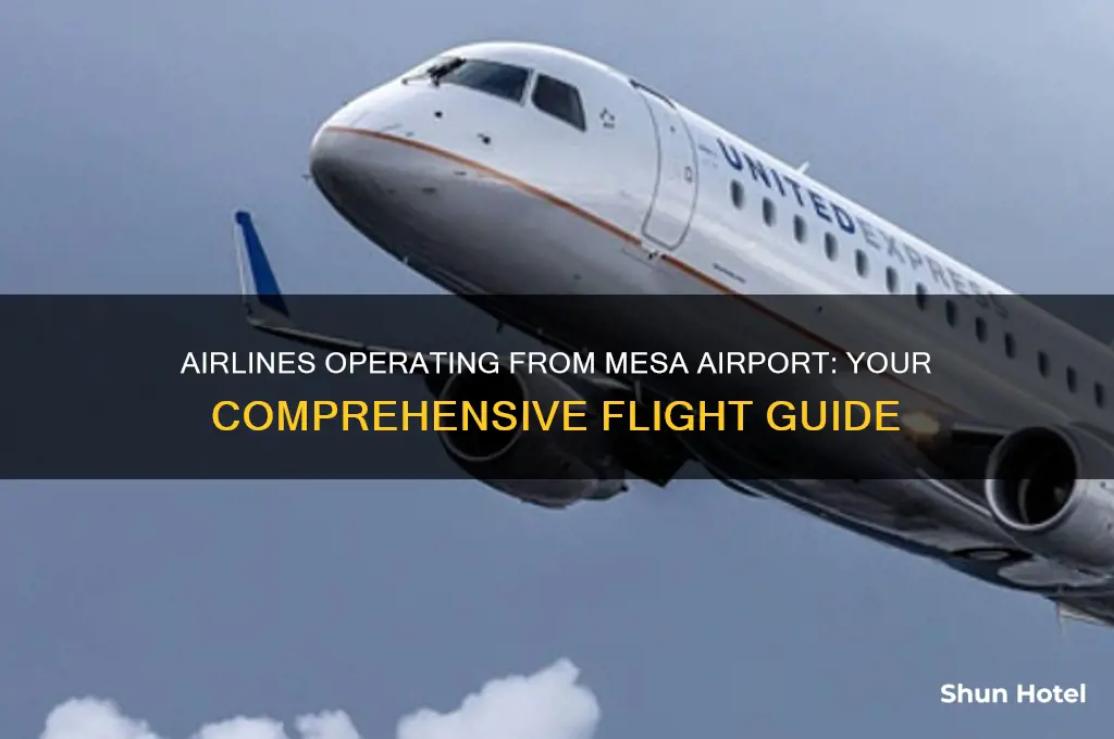 what airlines fly out of mesa airport