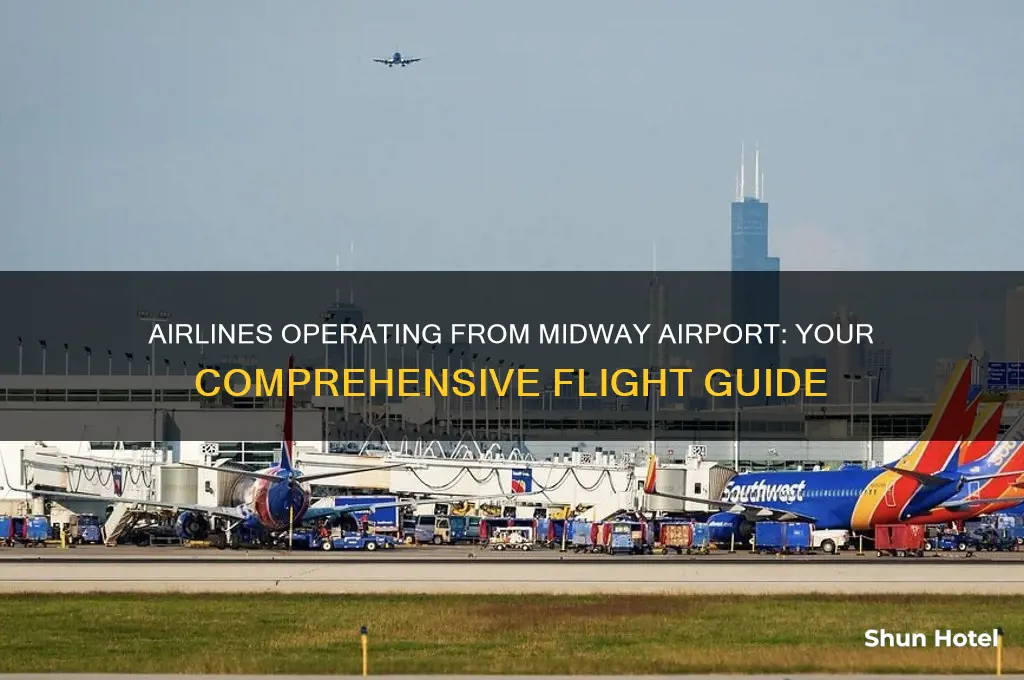 what airlines fly out of midway airport