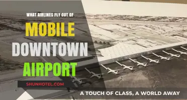 Airlines Operating from Mobile Downtown Airport: Your Complete Guide