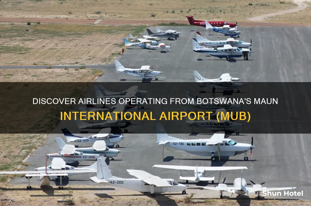 what airlines fly out of mub airport botswana