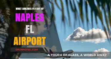 Airlines Departing from Naples, FL: Your Comprehensive Flight Guide