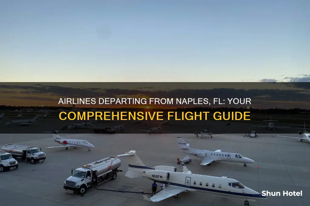 what airlines fly out of naples fl airport